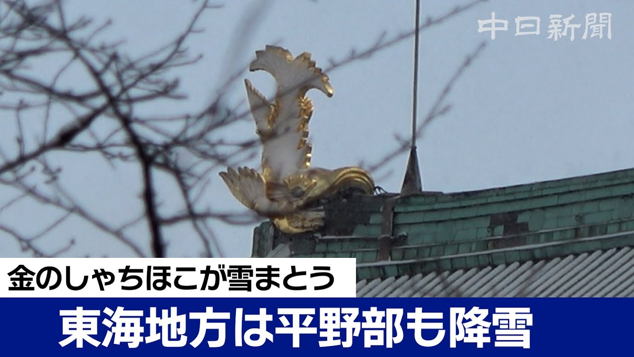 雪をまとった金のしゃちほこ　名古屋など東海地方平野部でも降雪