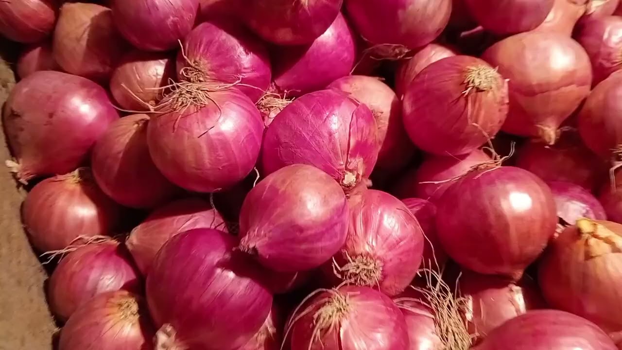 onion peyaj price Today ni Bangladesh Paikari market Dhaka Shyam Bazar peyajer Dam Koto?