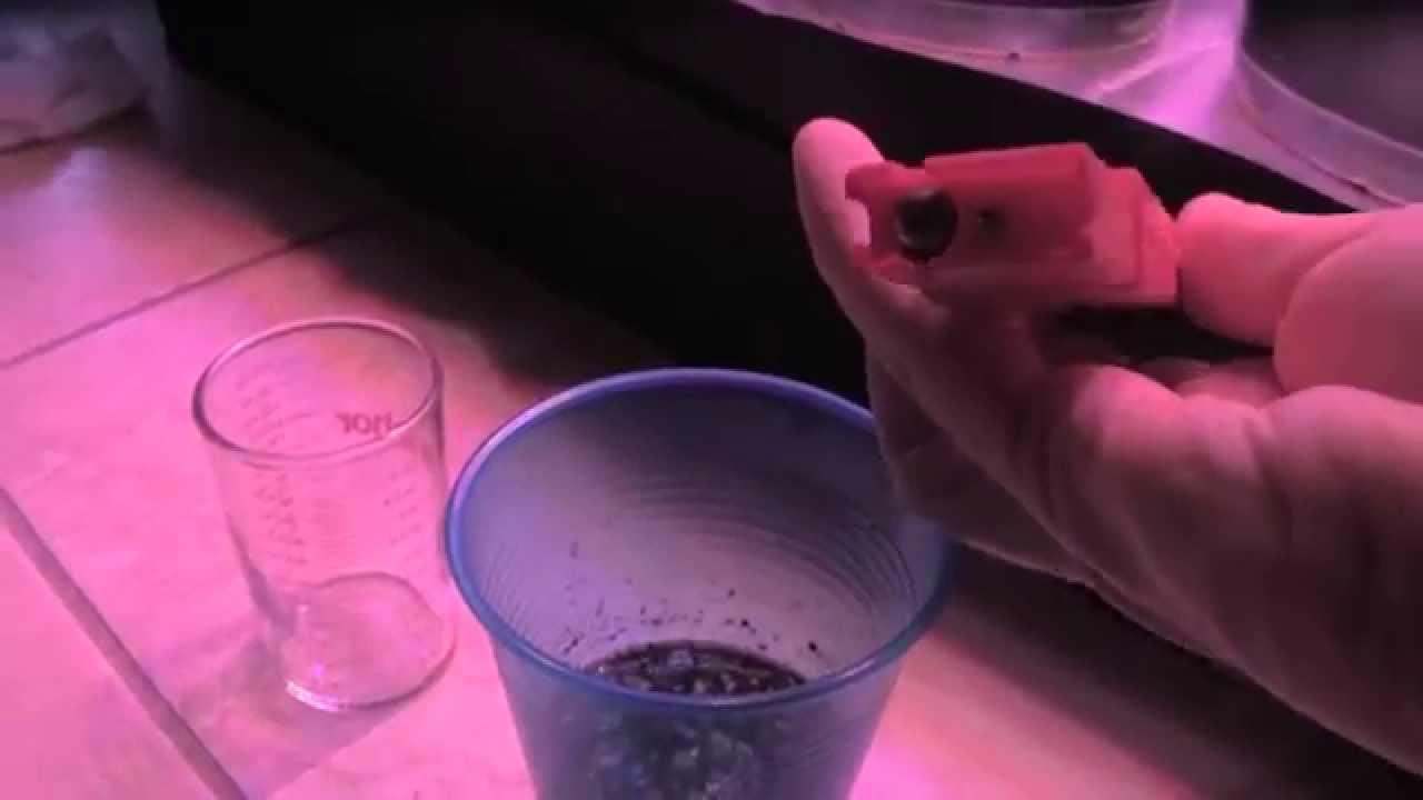 Budsimple.com - slurry test - testing our soil with a slurry test for the 1st time