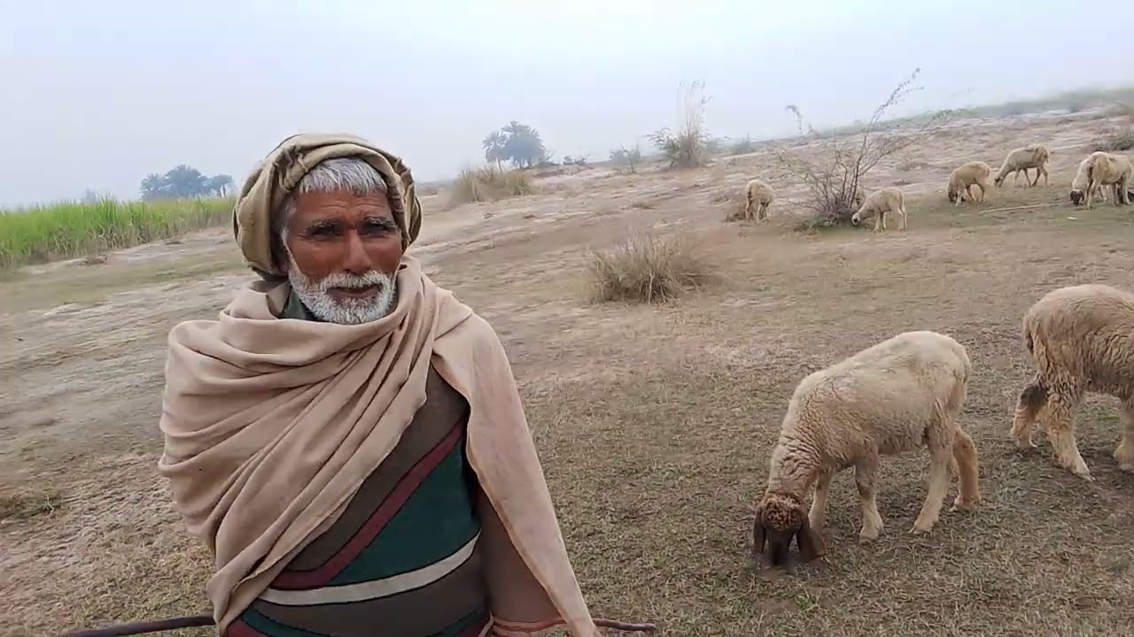 Baba Naseer k Saath gup shup              achi video dekhna k lye Mera chanel subscribe kre shukria 