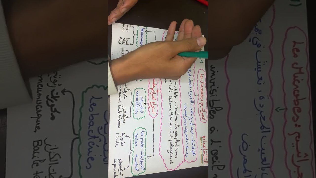 ملخص المناعة : الثالثة إعدادي/باك ARABE ET BIOF