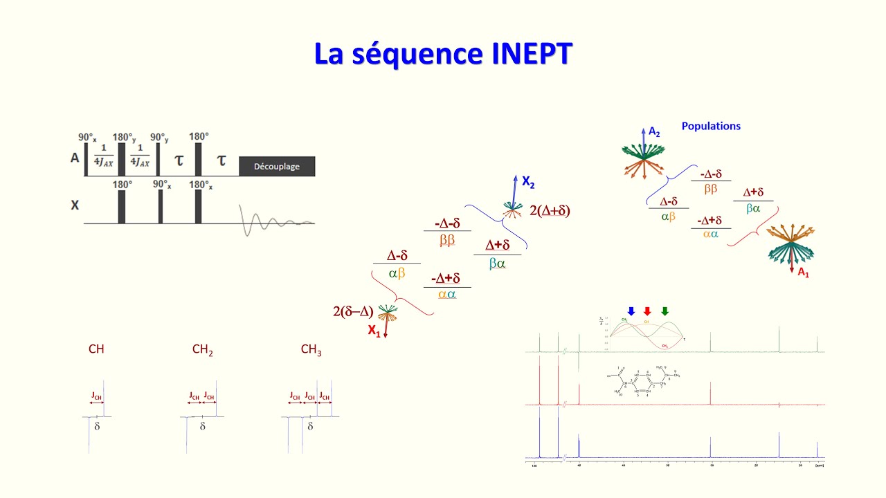 La s&eacute;quence INEPT