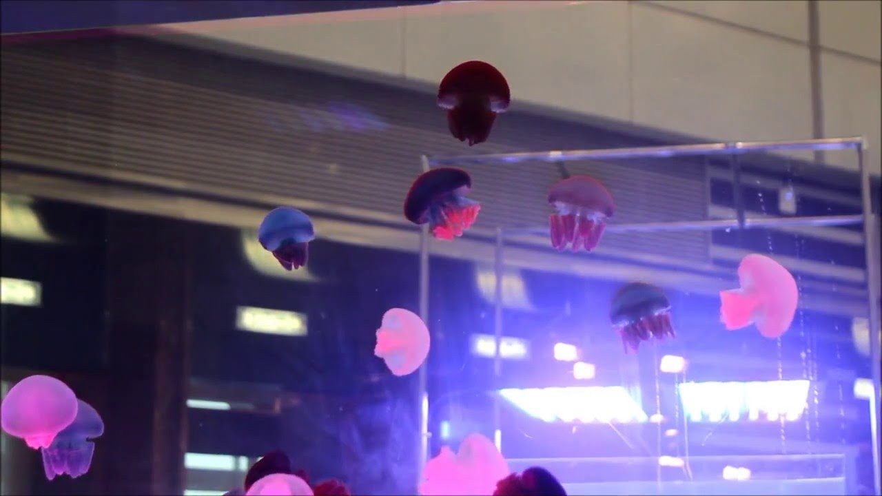 Cubic Pulse 280 Jellyfish Aquarium