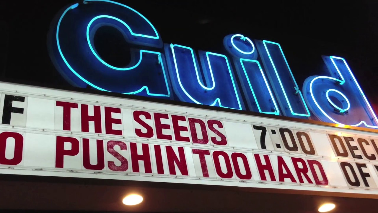 Neil Norman On The Road With The Seeds Movie