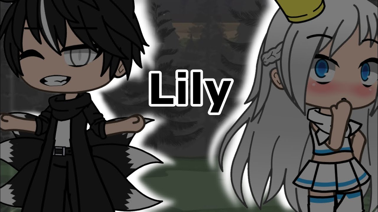 Lily GLMV