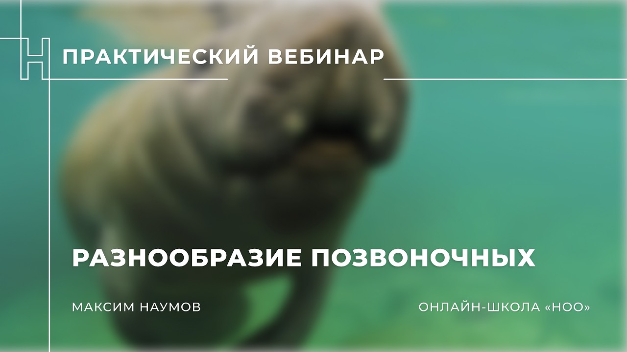 Разнообразие Позвоночных - 14.02