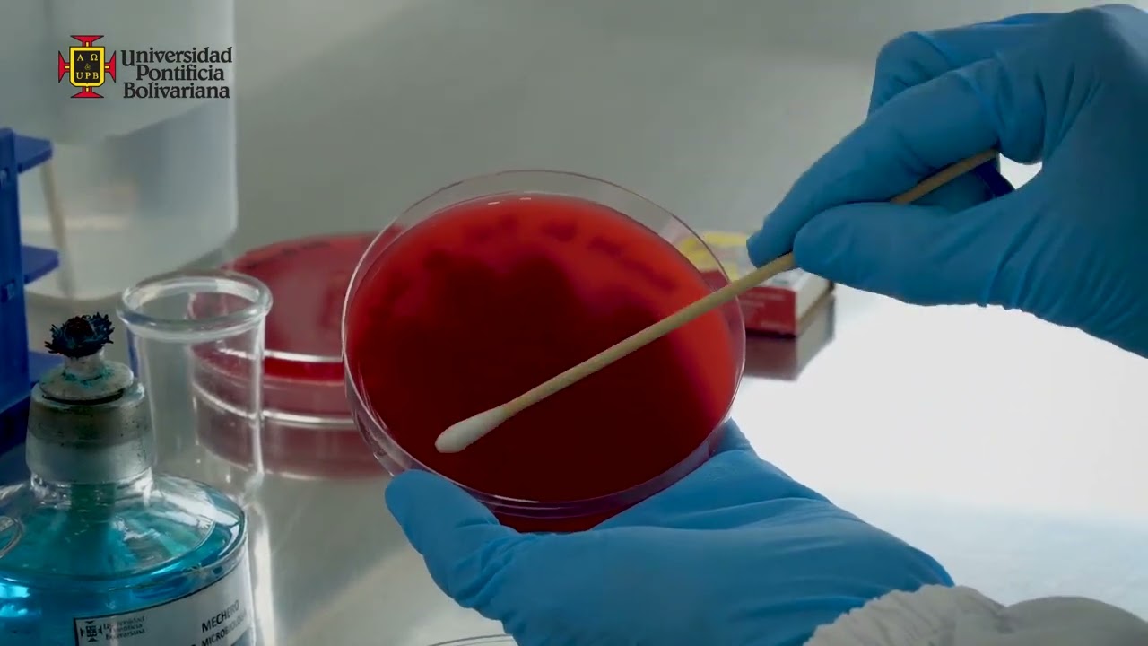 Microbiota Humana y Bacterias en el Ambiente