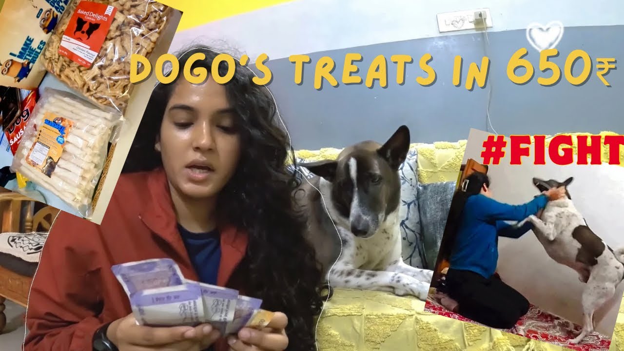 Dogo ne ki meri pitai & treats ka mothly budget…