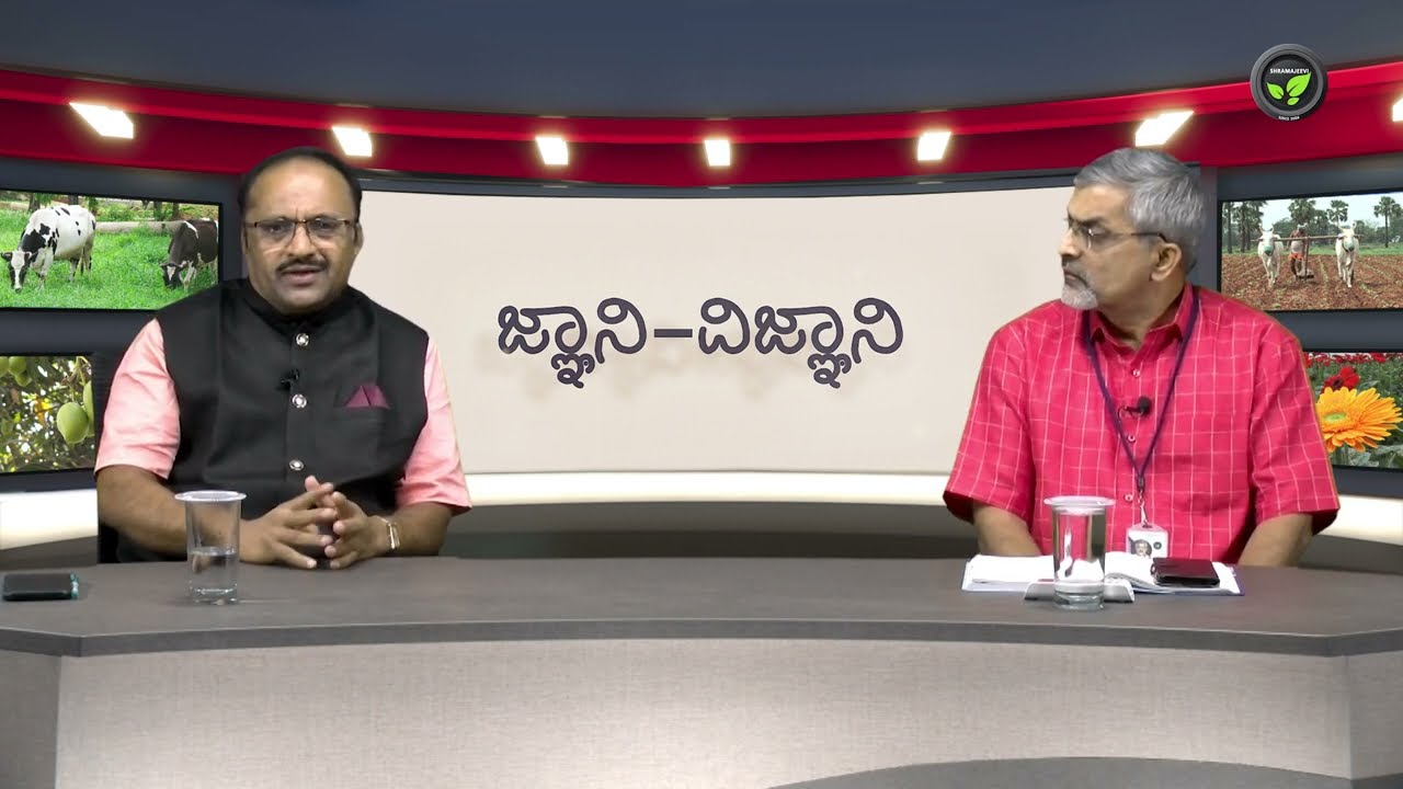 ಕೋಕೋ ಖರೀದಿಗೆ ನಾವಿದ್ದೇವೆ- ಕ್ಯಾಂಪ್ಕೋ | Cocoa