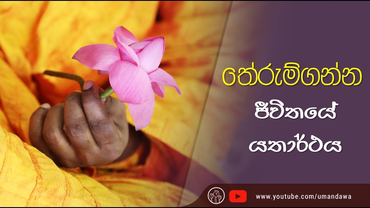 තේරුම්ගන්න… ජීවිතයේ යතාර්ථය...