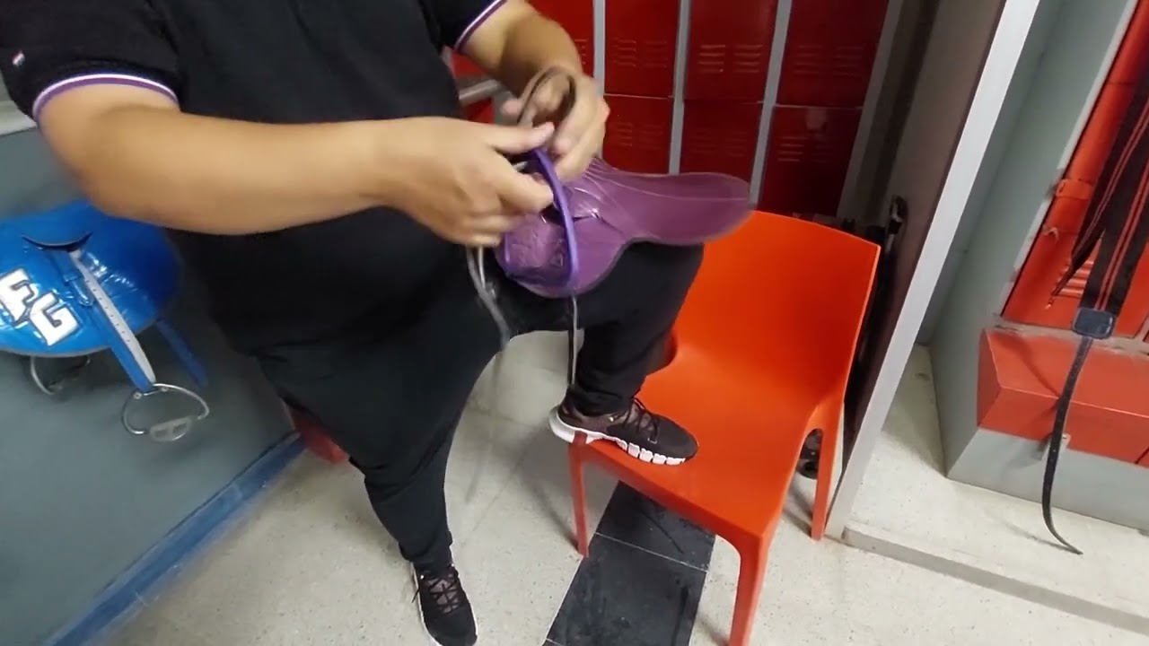 Sillas y monturas para Fina Sangre de carreras