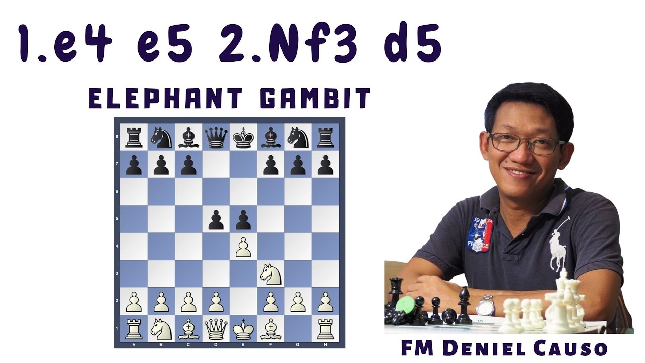 KING'S PAWN GAME AS WHITE # 3! Elephant Gambit (1.e4 e5 2. Nf3 d5)