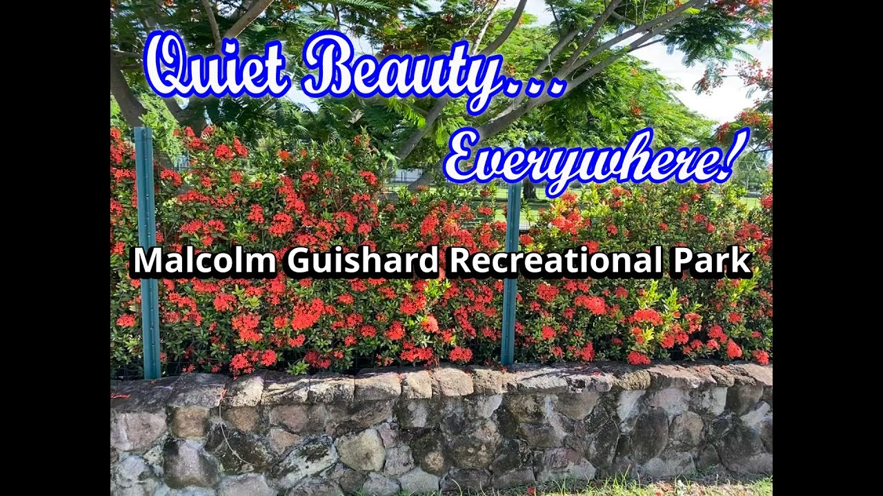 The Garden Hoe Goes Tropical | Malcolm Guishard Recreational Park Nevis - E5