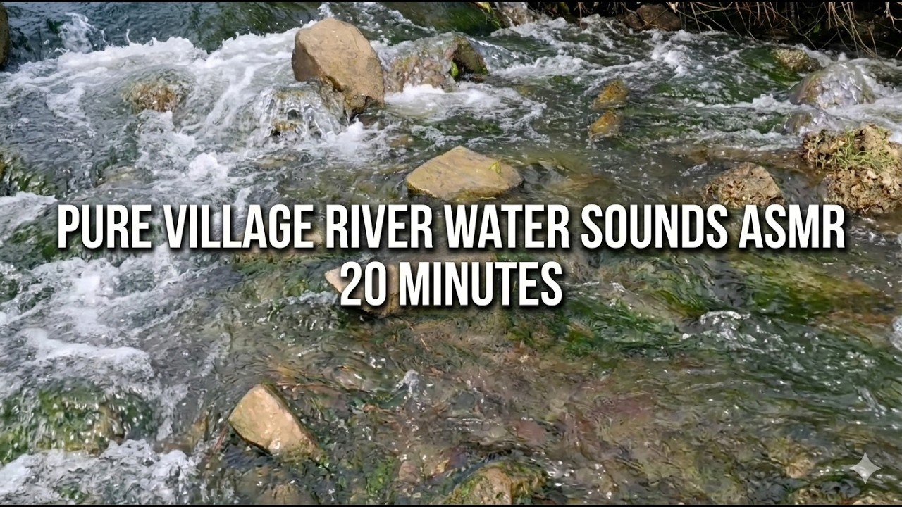 Pure Village River Sounds | Natural Water ASMR for Sleep & Study Deep Sleep ASMR 