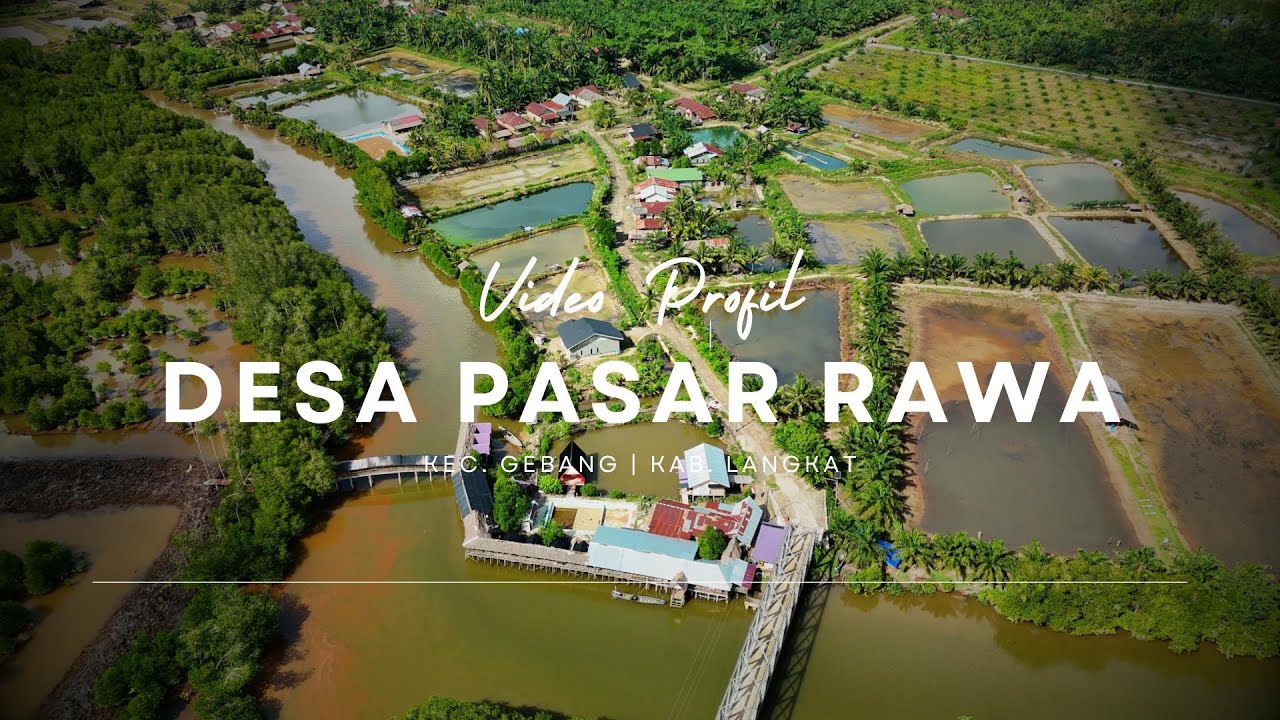 Video Profil Desa Pasar Rawa 2025 Kecamatan Gebang, Kabupaten Langkat Sumatera Utara