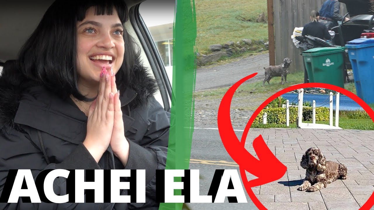 FINALMENTE EU ENCONTREI A BELLA MUNITA E CHAMEI A POLICIA 👮‍♂️