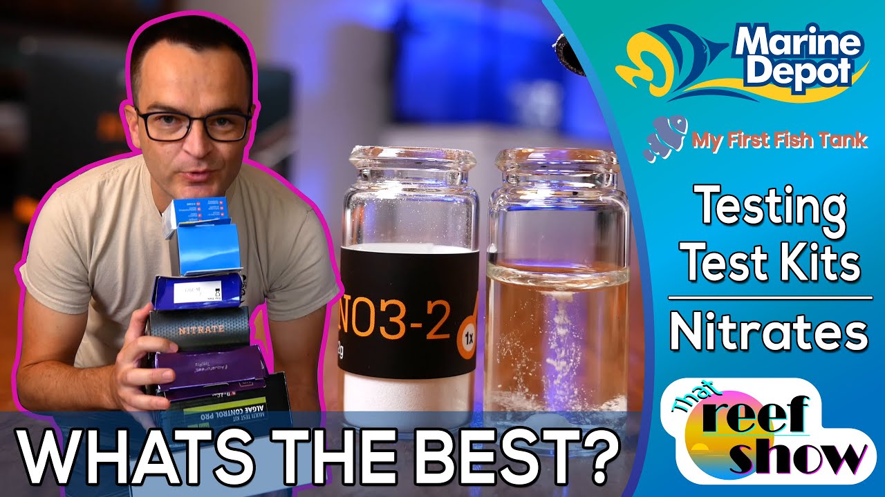 Testing Nitrates!  Which Kit is BEST?!