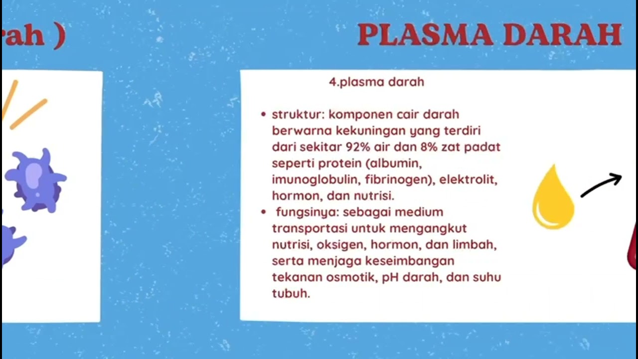 Regulasi Zat Dalam Sistem Peredaran Darah || Tugas vidio Mata Pelajaran Biologi || Materi 4