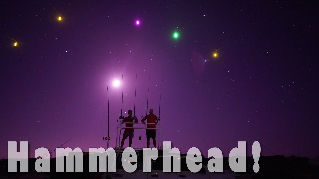 HAMMERHEAD on PINS 3 Days Shark Fishing & TRUCK CAMPING  (PINS LBSF)