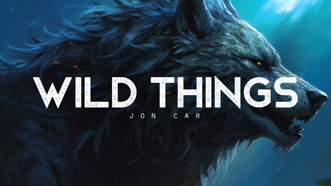 Wild Things - JON CAR (LYRICS)