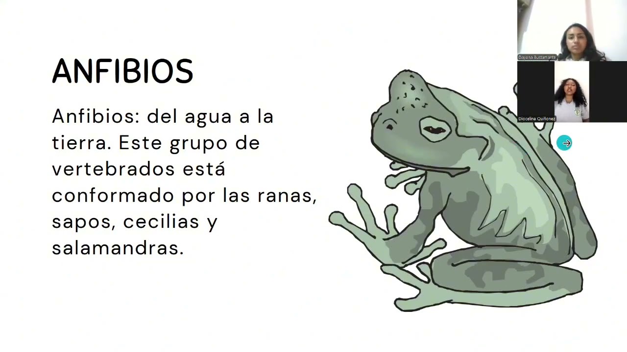 Zoología: exposición peces óseas y Reptiles 