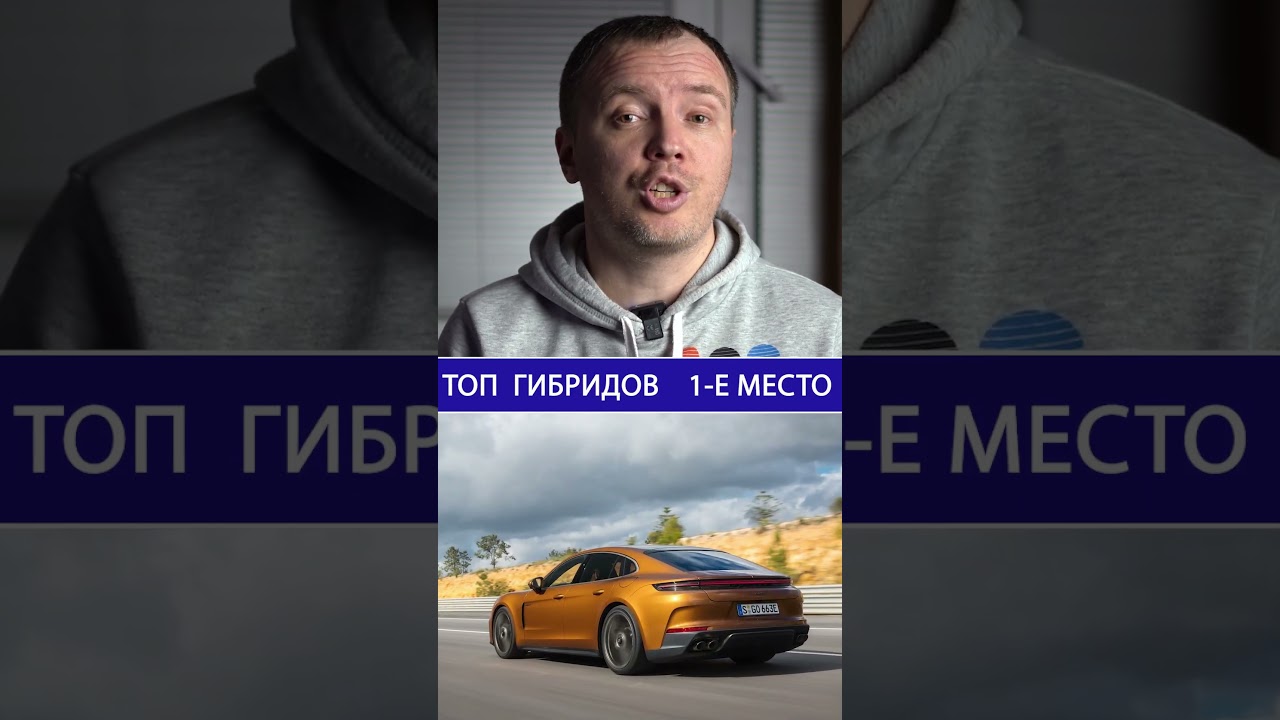 Лучшие гибриды  |  1-е место