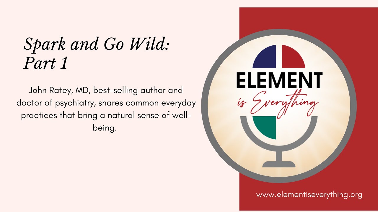 Spark and Go Wild Part 1