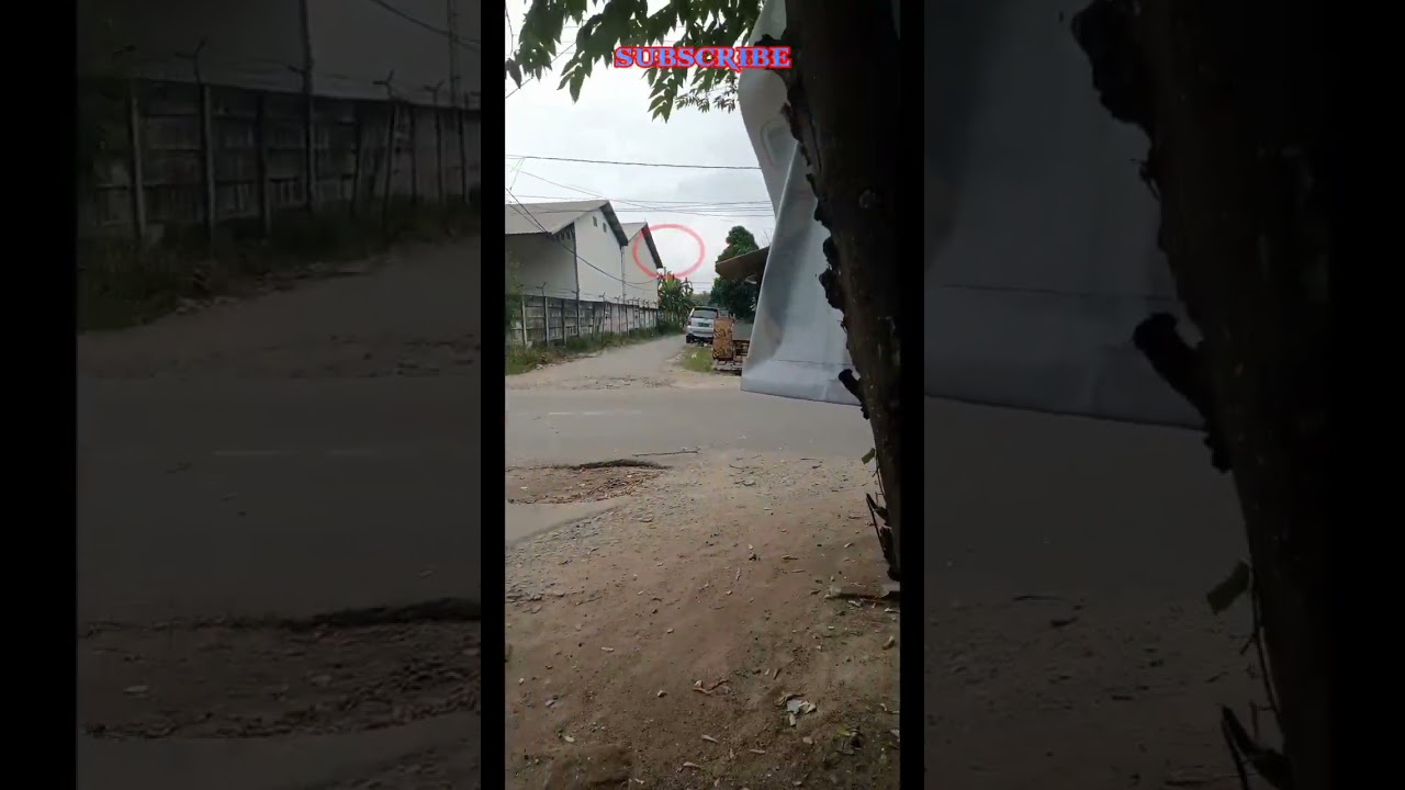 Penampakan Buto ijo terjelas di siang bolong #😱