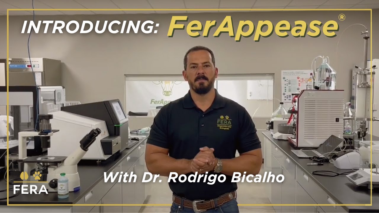 Introducing FerAppease, with Dr. Bicalho
