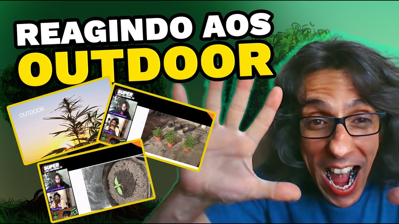 Dicas para Cultivo OUTDOOR + Rega no P&eacute; da Planta ou nas Bordas do Vaso? Descubra a melhor t&eacute;cnica!