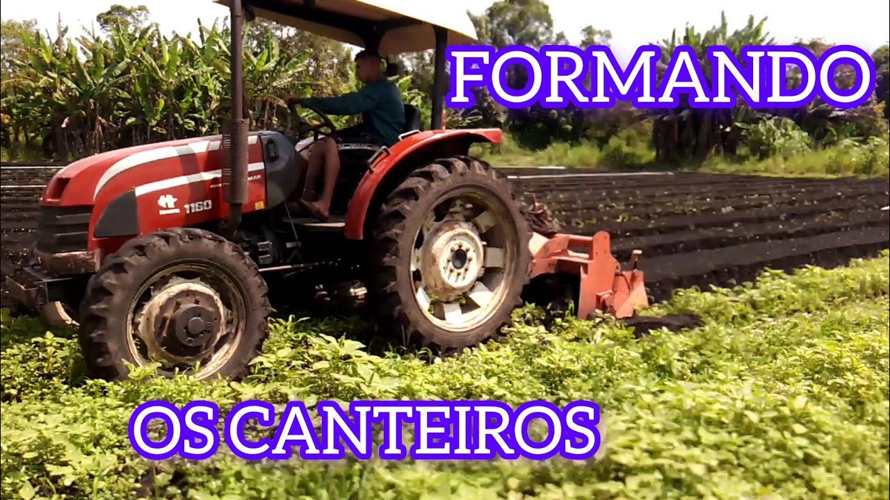 FORMANDO OS CANTEIROS PARA O PLANTIO
