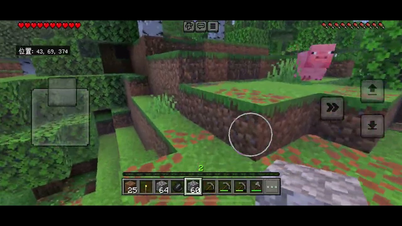 Minecraft ♯41