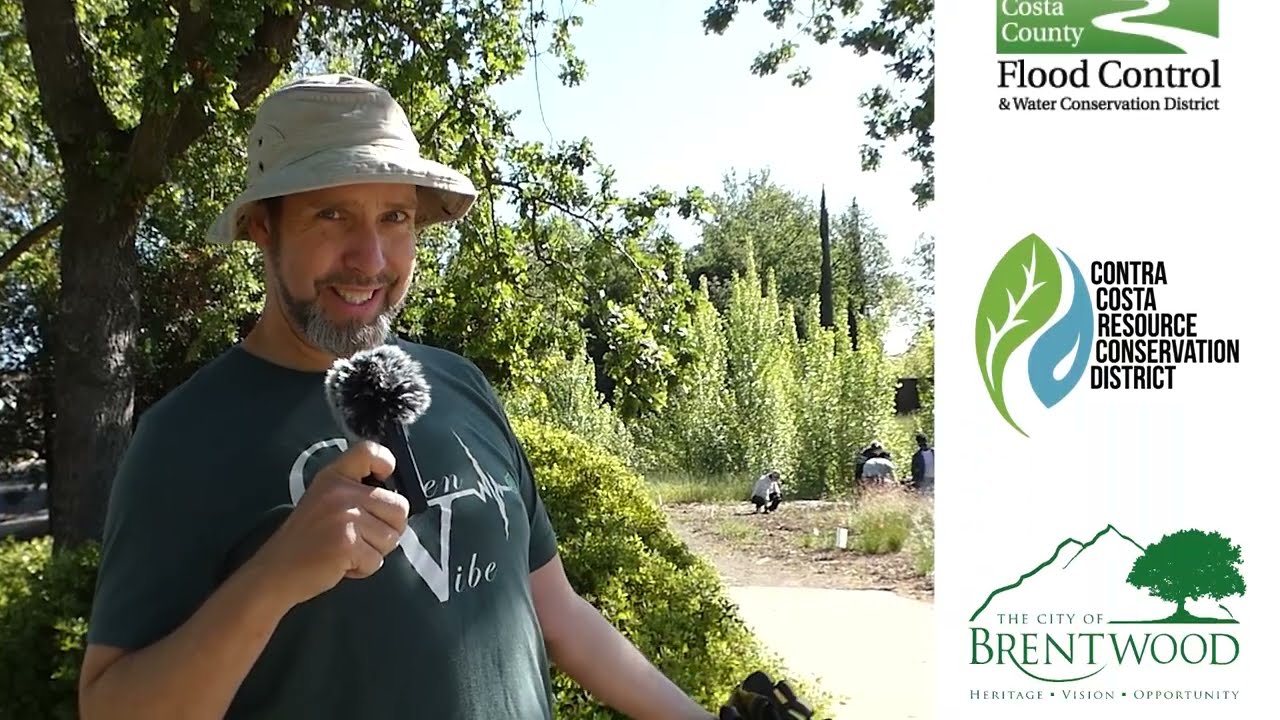 Friends of Marsh Creek Watershed (FoMCW) Service Activities