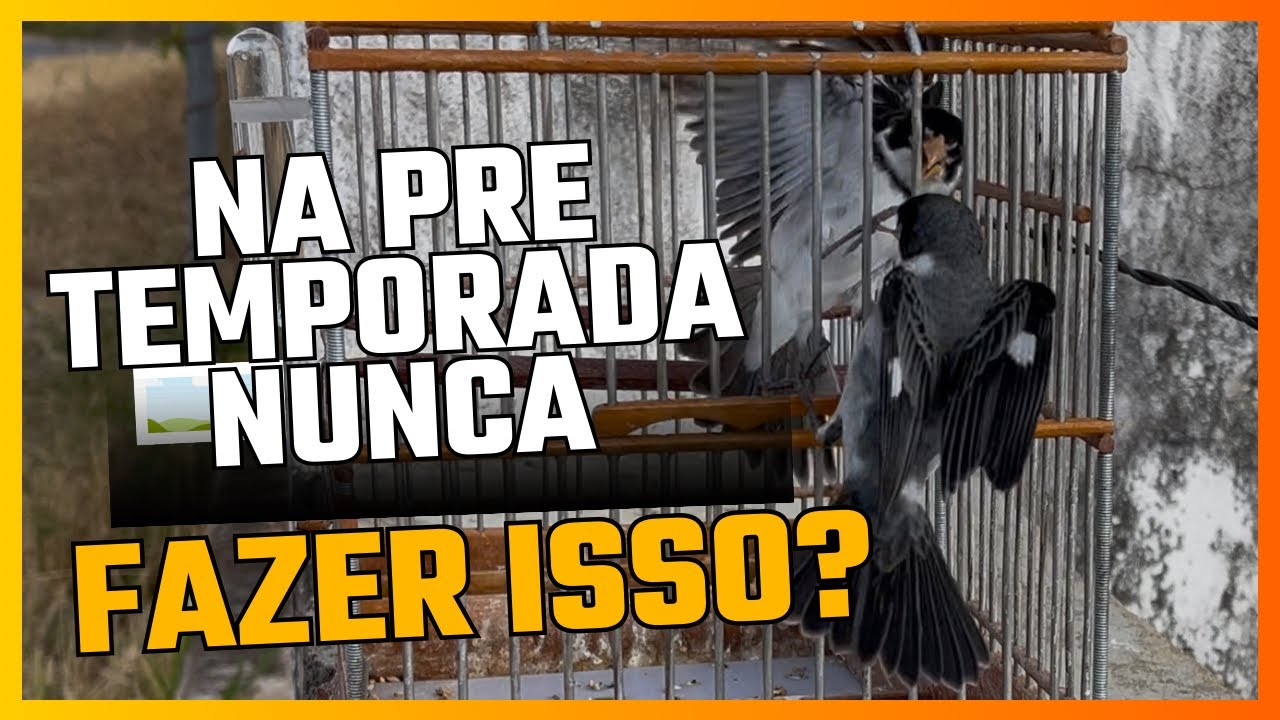 Nunca cometa esse erro na pra temporada 
