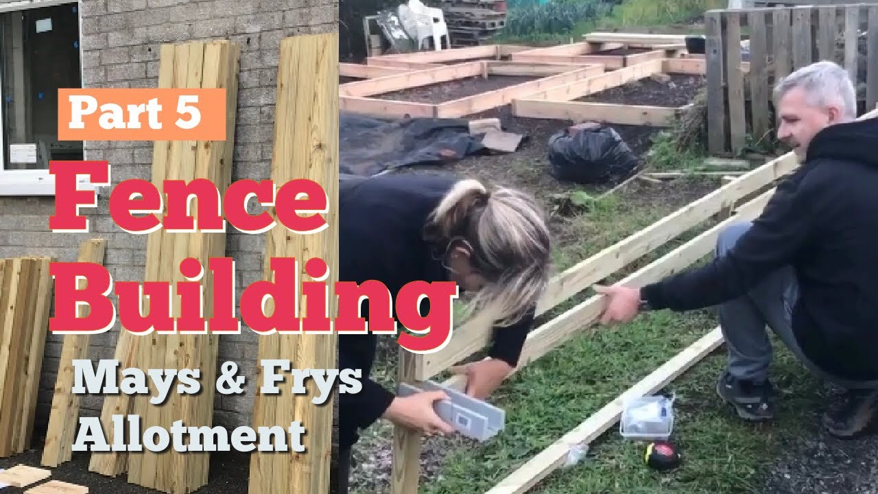 Allotment Part 5. Fence building at the allotment. #allotment #fencebuilding  #building #cat #diy