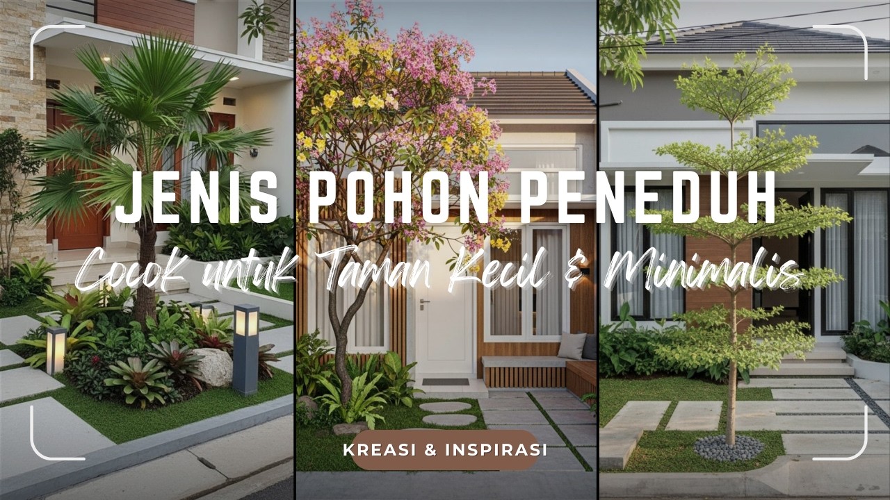 PUNYA LAHAN SEMPIT? Tanam POHON PENEDUH untuk TAMAN KECIL Ini Saja | Rumah Jadi ADEM dan AESTHETIC!
