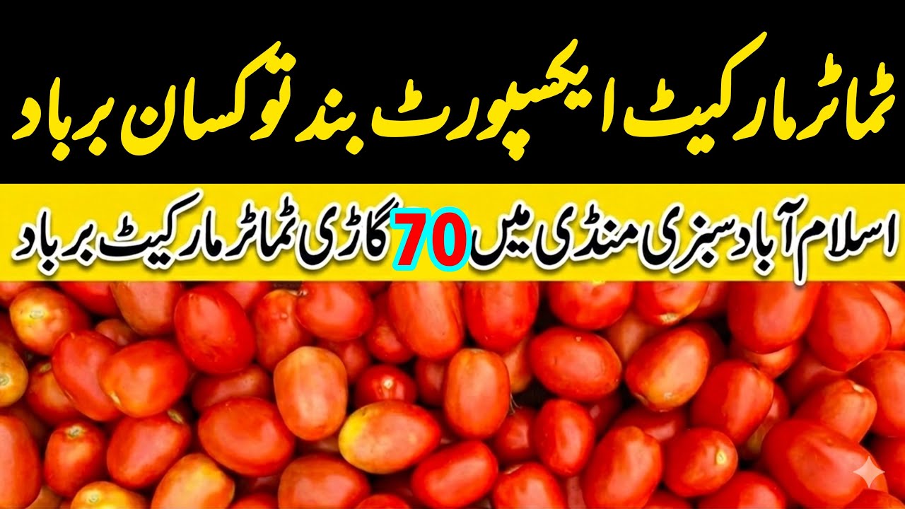Pakistan Biggest Tomato Market Islamabad Update | 12 March 2026 | Tomato Cheap Prices | Heavy losses