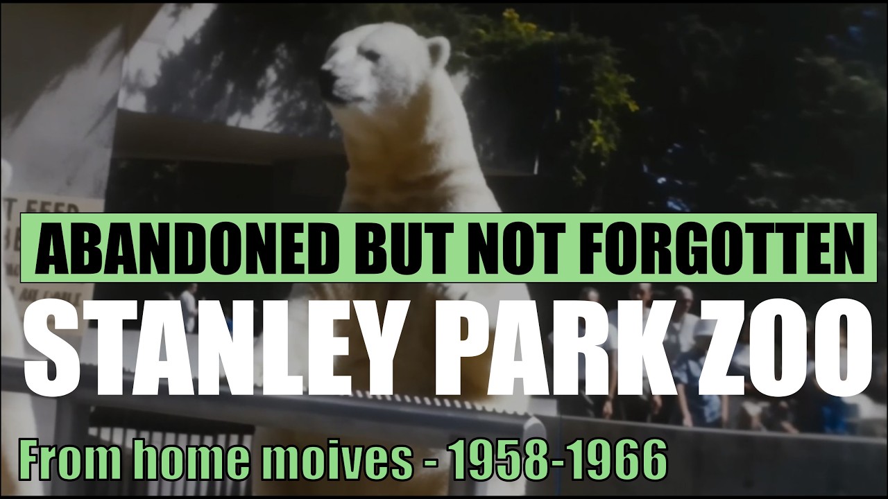 Vintage Vancouver: Stanley Park Zoo Memories 1958 - 1966