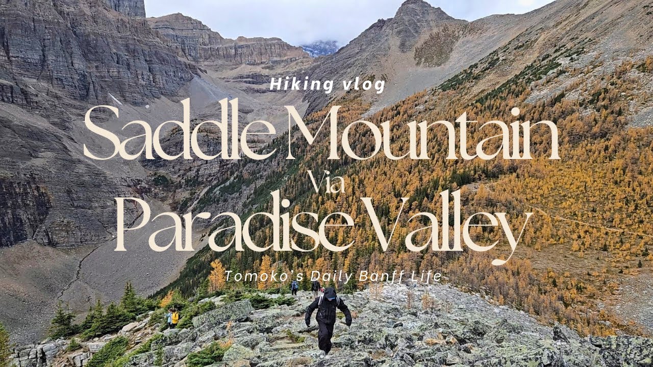 [ハイキングvlog] Saddle Mountain | 秋を感じる山歩き