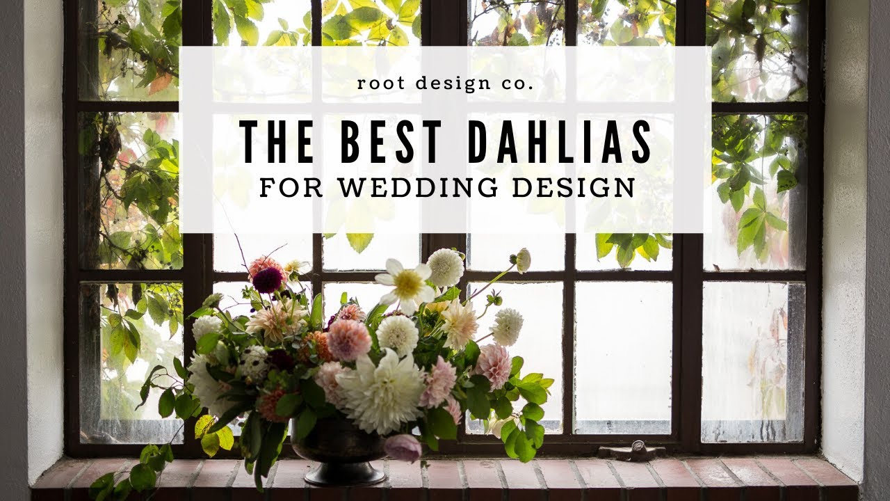 The Best Dahlias For Wedding Design | White Dahlias | Blush & Burgundy Dahlias | Peachy Dahlias