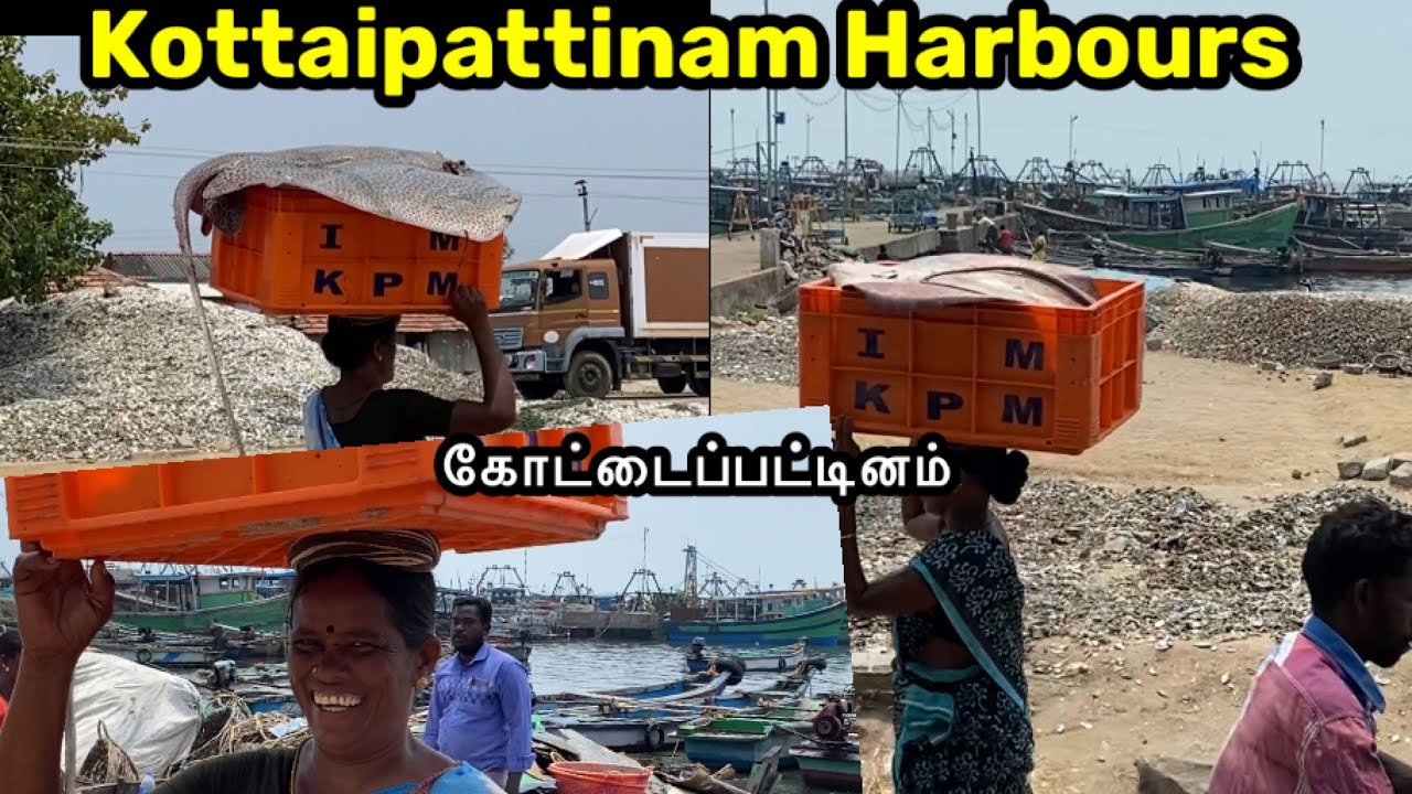Kottaipattinam/கோட்டைப்பட்டினம்/புதுக்கோட்டை/hurbor
