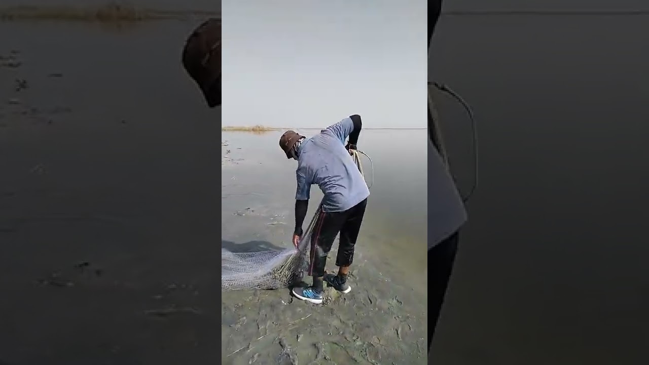 صيد سمك بحر نجف