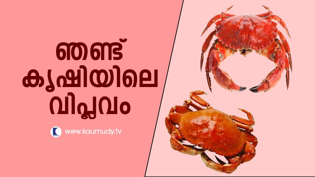 Revolution in Crab farming | Haritham Sundaram | Episode 24 -| KAUMUDY Tv