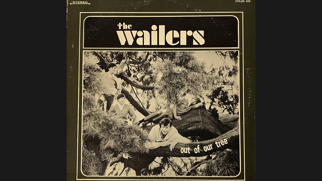 The Wailers 