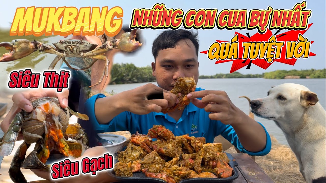 Hai Vợ Chồng Đi Thăm Lú Lựa Chọn Những Con Cua Bự Nhất, Ngon Nhất Làm Món Cua Rang Me Quá Hấp Dẫn