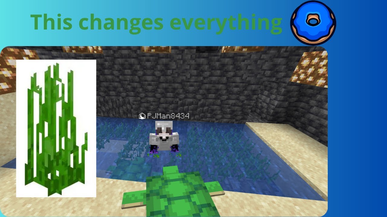 🍩 This method changes everything on The DONUT SMP🍩