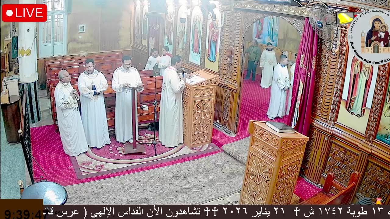 ♰ القداس الإلهى ( عرس قانا الجليل ) ♰ ٢١ يناير ٢٠٢٦ ♰