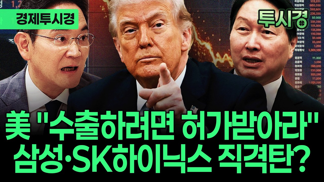 반도체 강세장 끝났나? W자 장세 속 '엔비디아 규제'라는 대형 악재 [💸경제투시경]