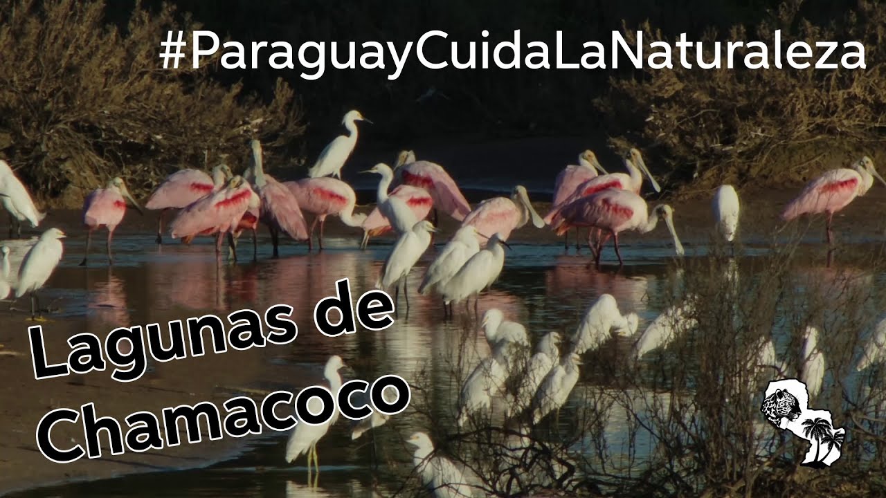 Lagunas de Chamacoco(Alto Paraguay)