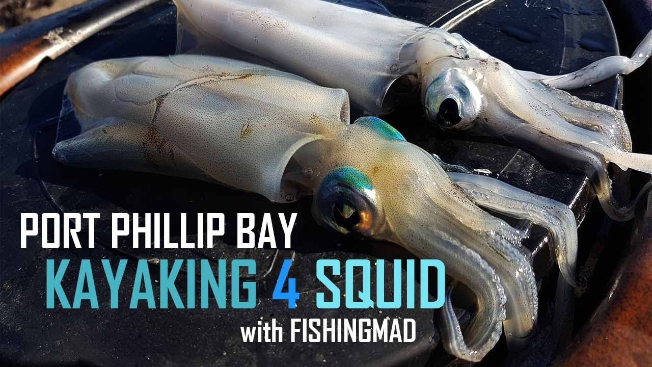 Campbells Cove fishing | Kayak fishing for squid PPB beach